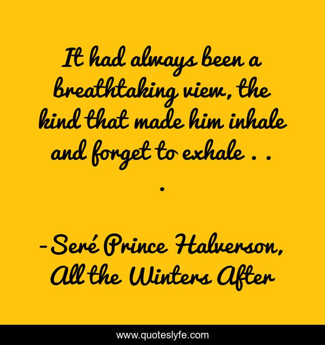 It had always been a breathtaking view, the kind that made him inhale and forget to exhale . . .