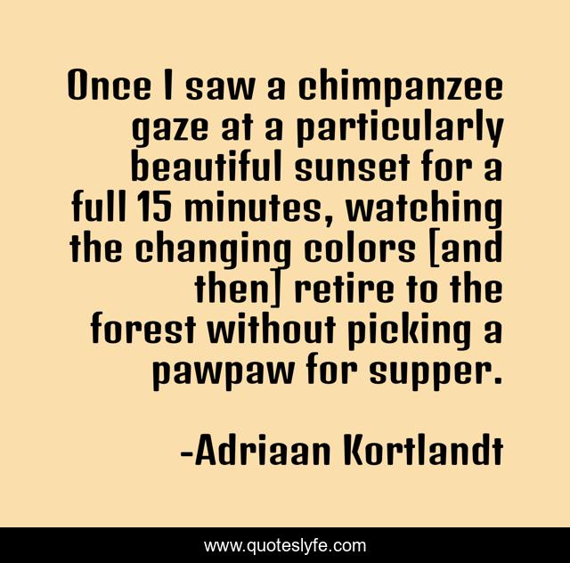 Once I saw a chimpanzee gaze at a particularly beautiful sunset for a full 15 minutes, watching the changing colors [and then] retire to the forest without picking a pawpaw for supper.