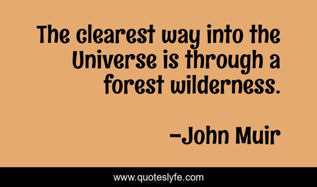 The clearest way into the Universe is through a forest wilderness.