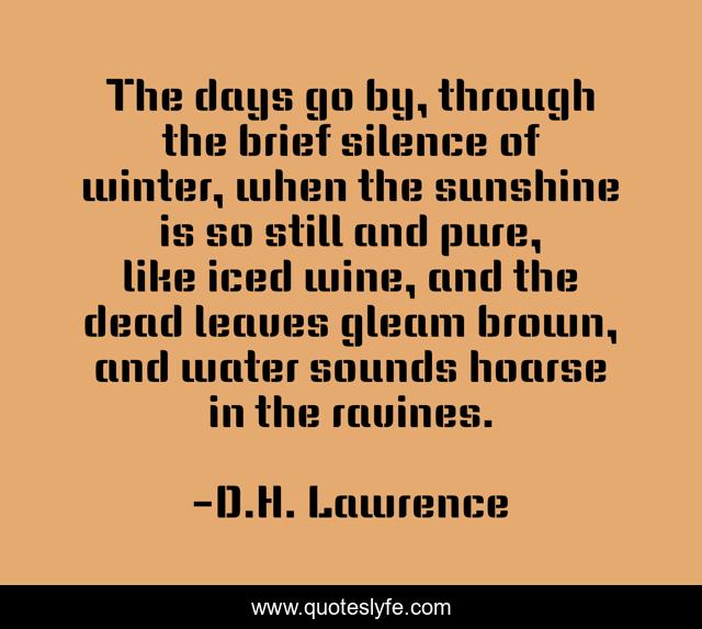 The days go by, through the brief silence of winter, when the sunshine is so still and pure, like iced wine, and the dead leaves gleam brown, and water sounds hoarse in the ravines.