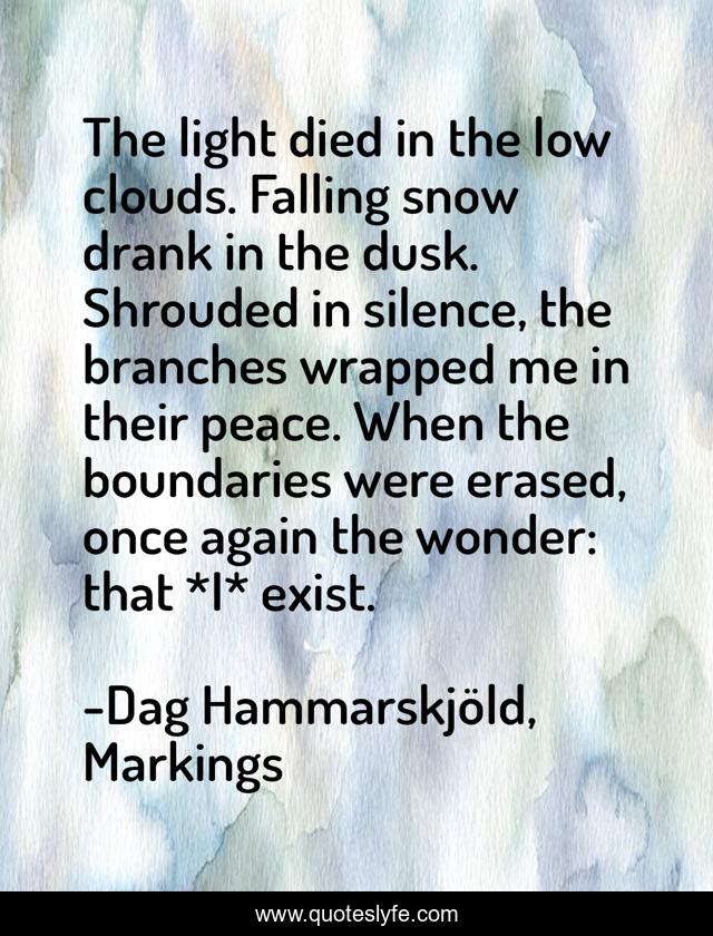 The light died in the low clouds. Falling snow drank in the dusk. Shrouded in silence, the branches wrapped me in their peace. When the boundaries were erased, once again the wonder: that *I* exist.