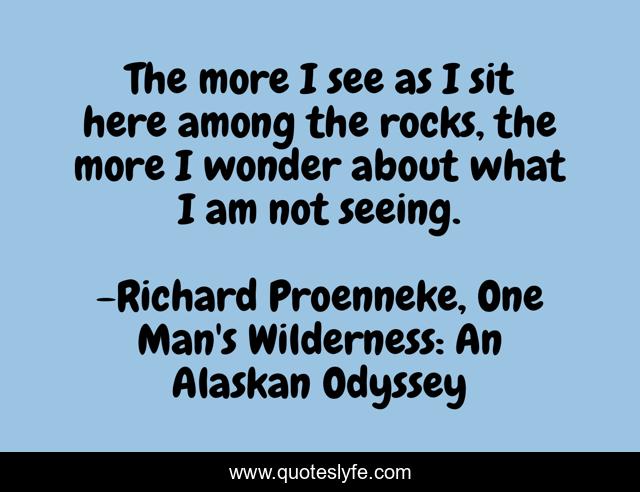 The more I see as I sit here among the rocks, the more I wonder about what I am not seeing.