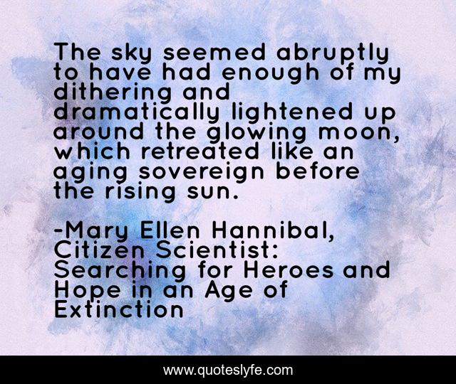 The sky seemed abruptly to have had enough of my dithering and dramatically lightened up around the glowing moon, which retreated like an aging sovereign before the rising sun.