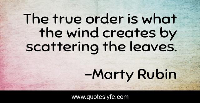 The true order is what the wind creates by scattering the leaves.