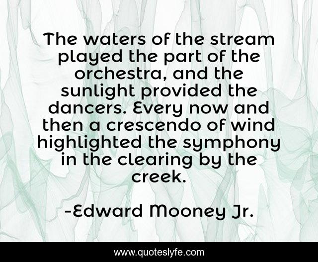 The waters of the stream played the part of the orchestra, and the sunlight provided the dancers. Every now and then a crescendo of wind highlighted the symphony in the clearing by the creek.