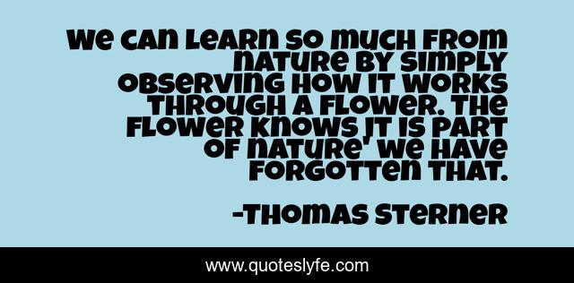 We can learn so much from nature by simply observing how it works through a flower. The flower knows it is part of nature' we have forgotten that.