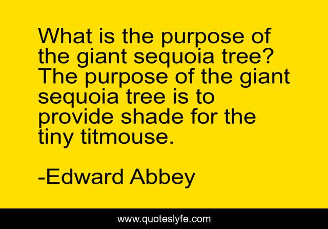 What is the purpose of the giant sequoia tree? The purpose of the giant sequoia tree is to provide shade for the tiny titmouse.