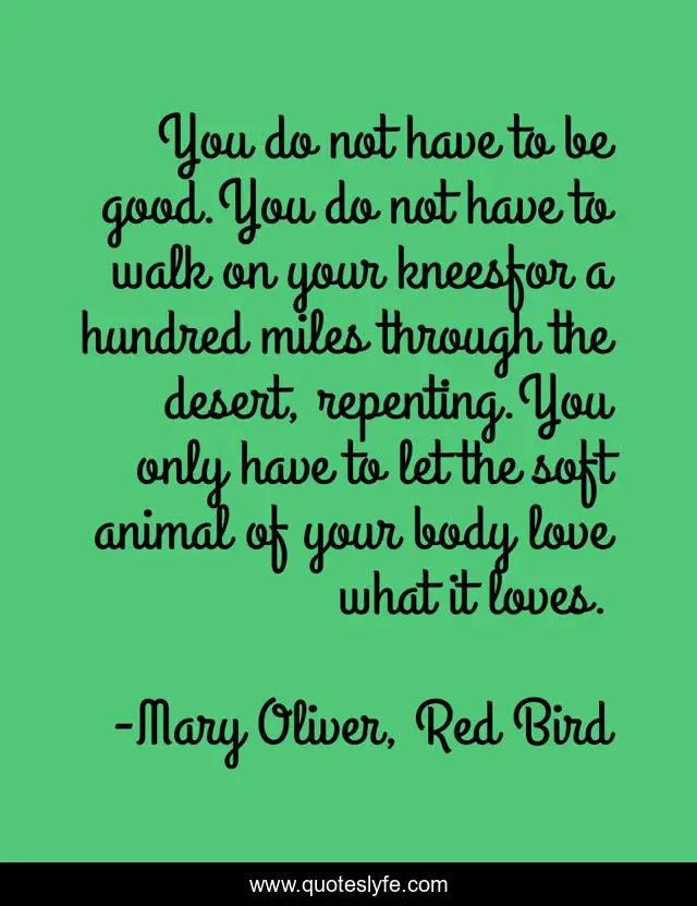 You do not have to be good.You do not have to walk on your kneesfor a hundred miles through the desert, repenting.You only have to let the soft animal of your body love what it loves.
