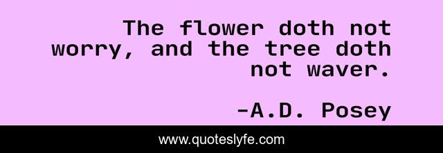 The flower doth not worry, and the tree doth not waver.