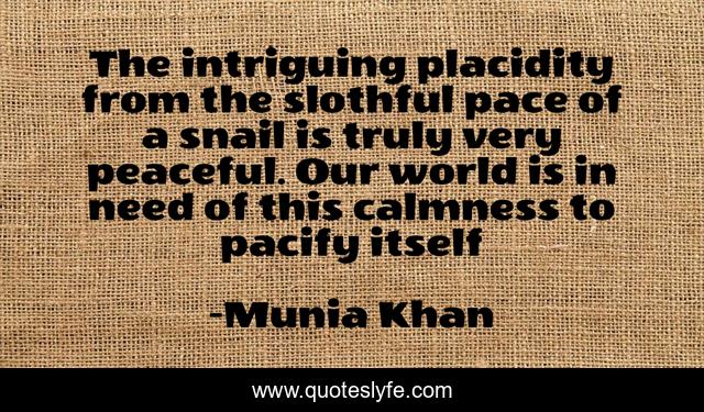 The intriguing placidity from the slothful pace of a snail is truly very peaceful. Our world is in need of this calmness to pacify itself