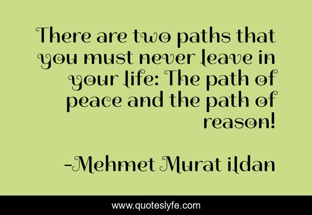 There are two paths that you must never leave in your life: The path of peace and the path of reason!