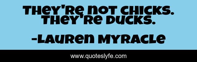 They're not chicks. They're ducks.
