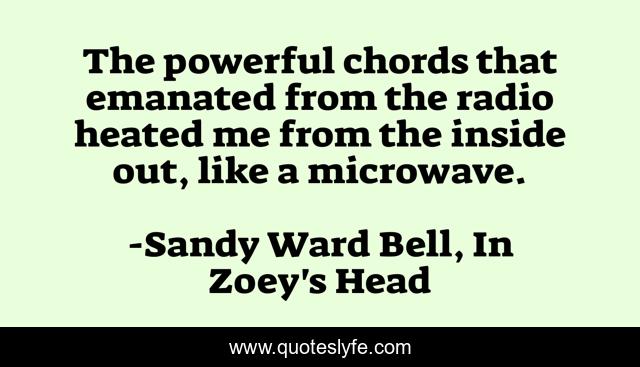The powerful chords that emanated from the radio heated me from the inside out, like a microwave.