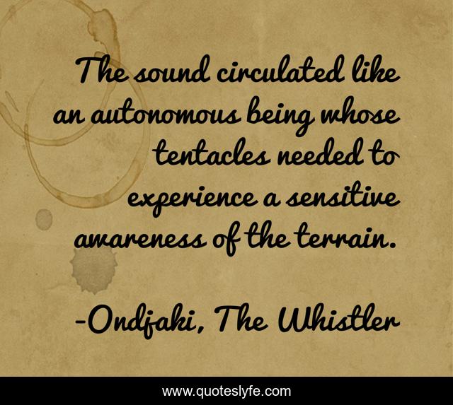 The sound circulated like an autonomous being whose tentacles needed to experience a sensitive awareness of the terrain.