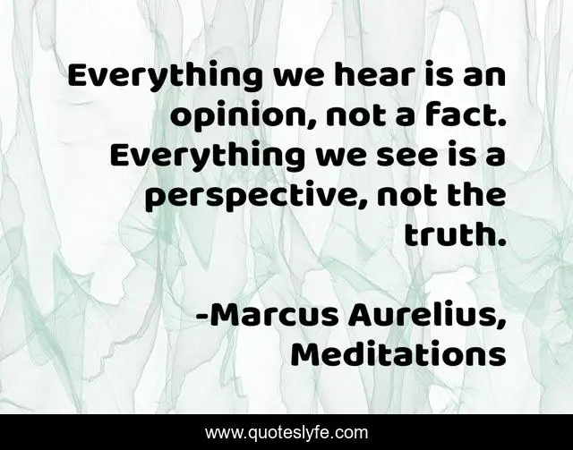 Everything we hear is an opinion, not a fact. Everything we see is a perspective, not the truth.