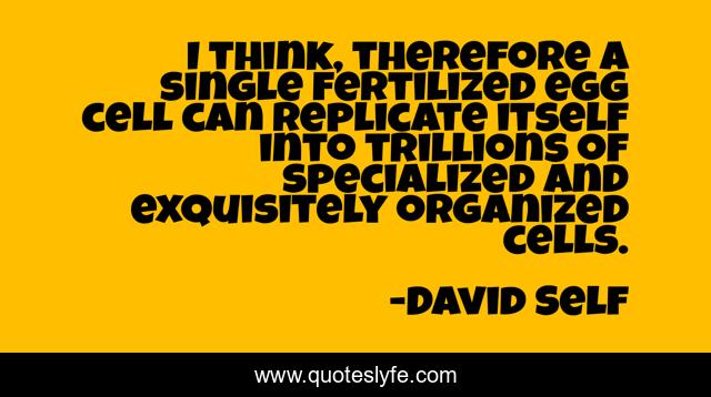 I think, therefore a single fertilized egg cell can replicate itself into trillions of specialized and exquisitely organized cells.
