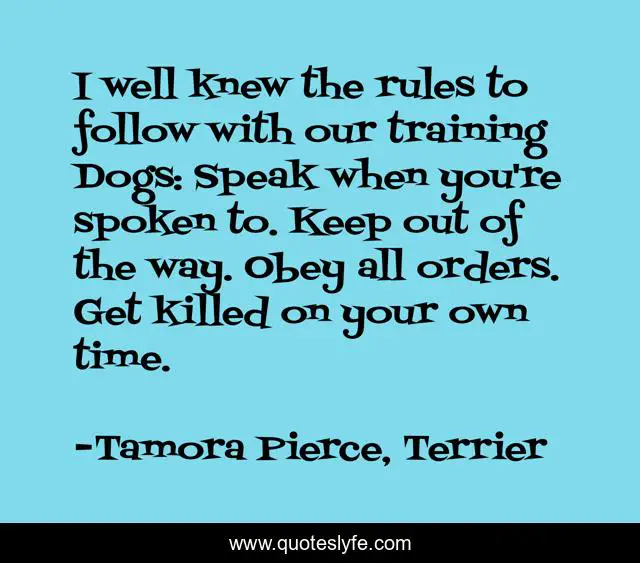 I well knew the rules to follow with our training Dogs: Speak when you're spoken to. Keep out of the way. Obey all orders. Get killed on your own time.