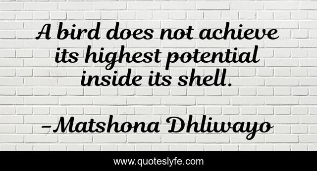 A bird does not achieve its highest potential inside its shell.