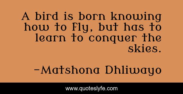 A bird is born knowing how to fly, but has to learn to conquer the skies.