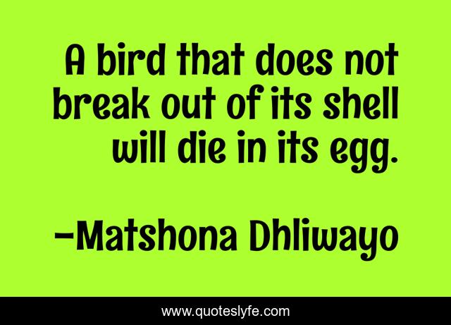 A bird that does not break out of its shell will die in its egg.