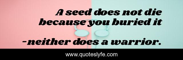 A seed does not die because you buried it