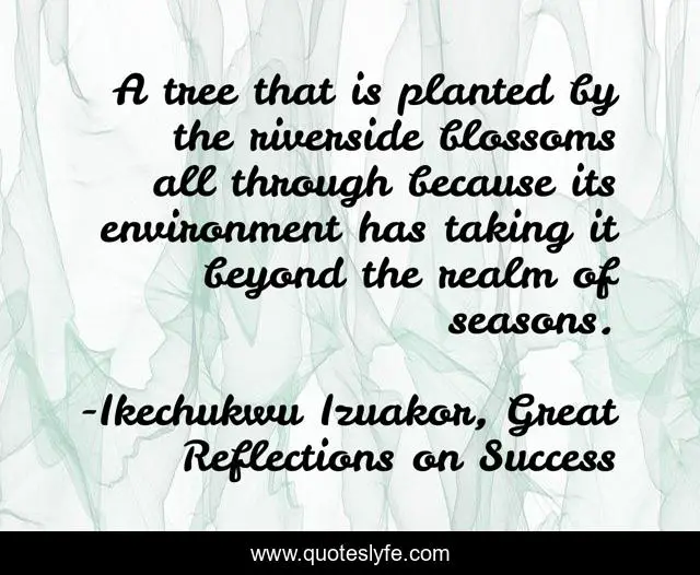 A tree that is planted by the riverside blossoms all through because its environment has taking it beyond the realm of seasons.