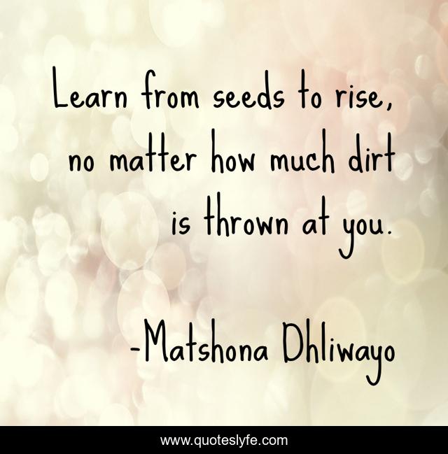 Learn from seeds to rise, no matter how much dirt is thrown at you.