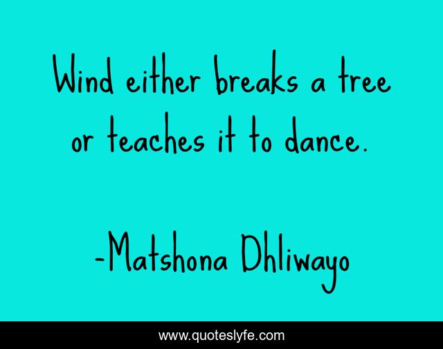 Wind either breaks a tree or teaches it to dance.