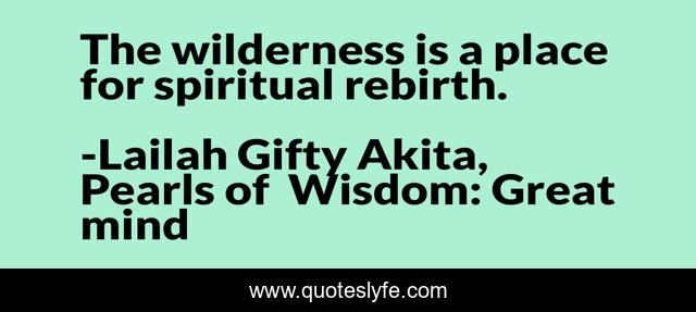 The wilderness is a place for spiritual rebirth.