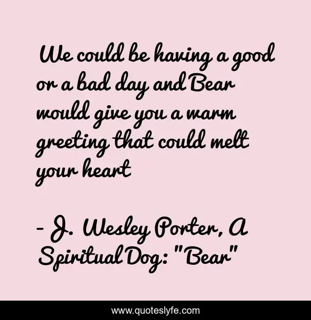 We could be having a good or a bad day and Bear would give you a warm greeting that could melt your heart