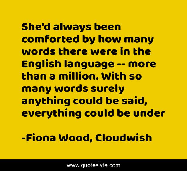 She'd always been comforted by how many words there were in the English language -- more than a million. With so many words surely anything could be said, everything could be under