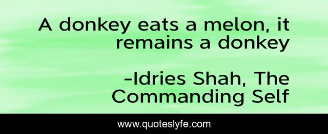 A donkey eats a melon, it remains a donkey