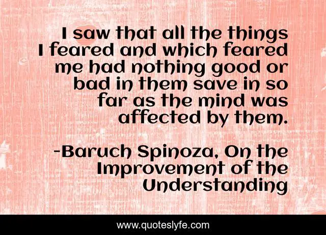 I saw that all the things I feared and which feared me had nothing good or bad in them save in so far as the mind was affected by them.
