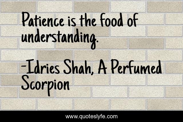 Patience is the food of understanding.