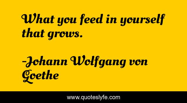 What you feed in yourself that grows.