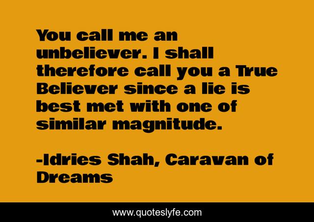 You call me an unbeliever. I shall therefore call you a True Believer since a lie is best met with one of similar magnitude.