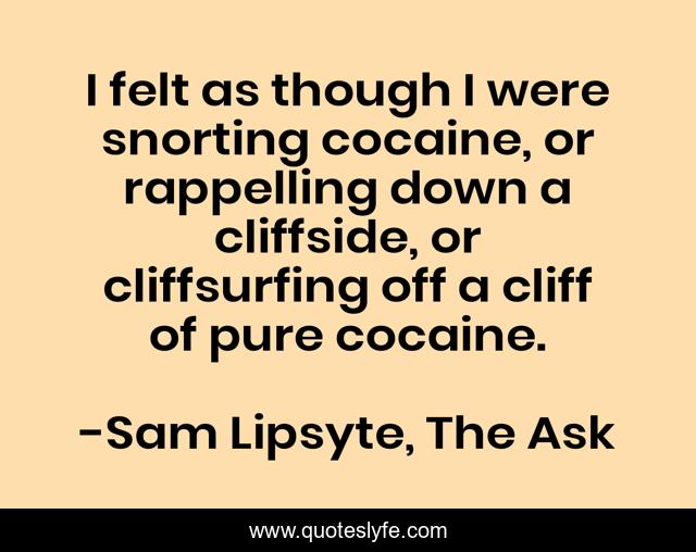 I felt as though I were snorting cocaine, or rappelling down a cliffside, or cliffsurfing off a cliff of pure cocaine.