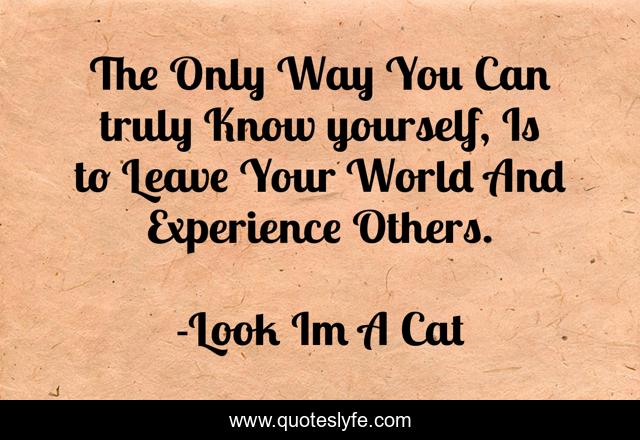 The Only Way You Can truly Know yourself, Is to Leave Your World And Experience Others.