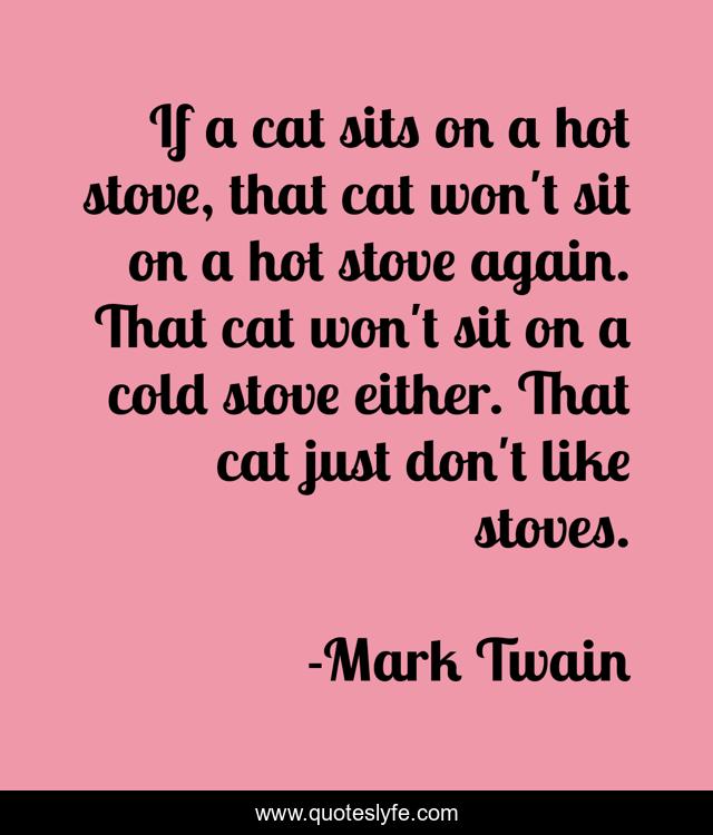 If a cat sits on a hot stove, that cat won't sit on a hot stove again. That cat won't sit on a cold stove either. That cat just don't like stoves.