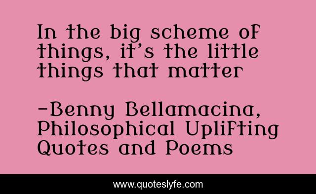 In The Big Scheme Of Things It S The Little Things That Matter Quote By Benny Bellamacina Philosophical Uplifting Quotes And Poems Quoteslyfe