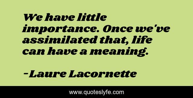 We have little importance. Once we've assimilated that, life can have a meaning.
