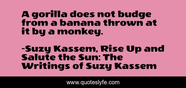 A gorilla does not budge from a banana thrown at it by a monkey.