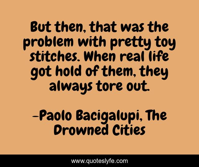 But then, that was the problem with pretty toy stitches. When real life got hold of them, they always tore out.