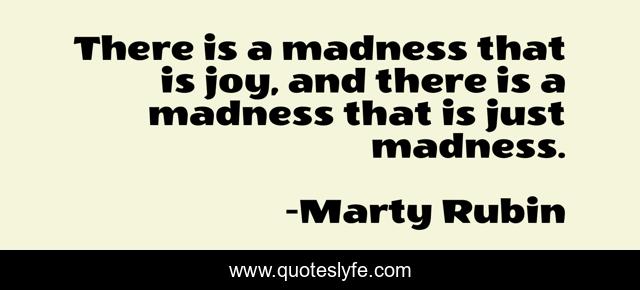 There is a madness that is joy, and there is a madness that is just madness.