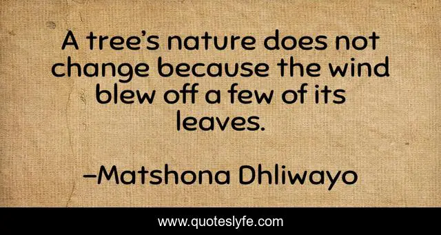 A tree’s nature does not change because the wind blew off a few of its leaves.