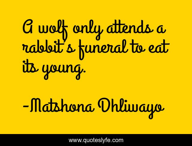 A wolf only attends a rabbit’s funeral to eat its young.