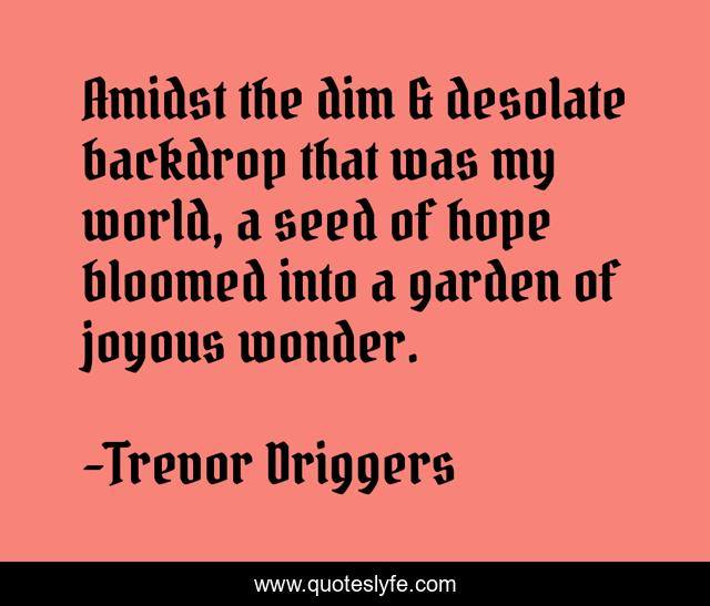 Amidst the dim & desolate backdrop that was my world, a seed of hope bloomed into a garden of joyous wonder.