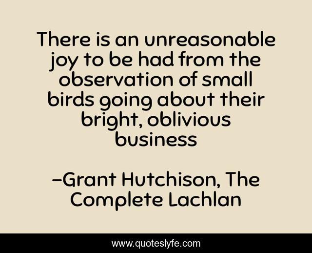 There is an unreasonable joy to be had from the observation of small birds going about their bright, oblivious business