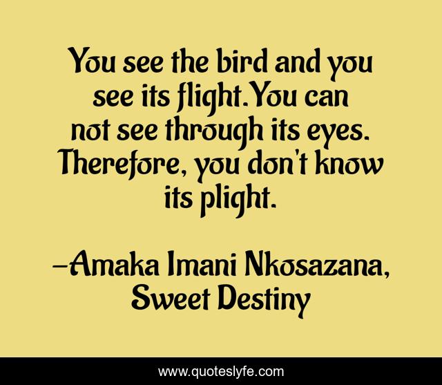 You see the bird and you see its flight.You can not see through its eyes. Therefore, you don't know its plight.