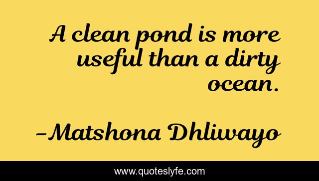 A clean pond is more useful than a dirty ocean.